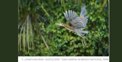 How one South American country became a lab for conservation